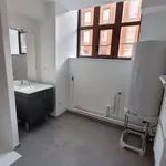 Rent 1 bedroom apartment of 35 m² in Lille