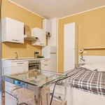 Rent 1 bedroom apartment in Milan