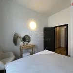 Rent 2 bedroom apartment in Praha 3