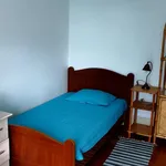 Rent 4 bedroom apartment in Coimbra