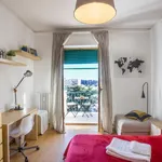 Rent 1 bedroom apartment in Rome