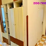 Rent 2 bedroom apartment of 55 m² in České Budějovice