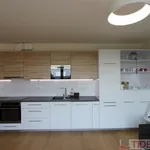 Rent 2 bedroom apartment of 60 m² in Prague