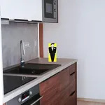 Rent 3 bedroom apartment of 86 m² in Zlín