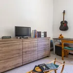 Rent 1 bedroom apartment of 65 m² in Bologna