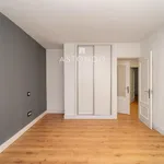 Rent 1 bedroom house in Madrid