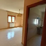 Rent 5 bedroom apartment of 100 m² in Mendicino