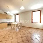 Rent 2 bedroom apartment of 48 m² in Brendola