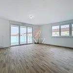 Rent 3 bedroom apartment of 67 m² in STRASBOURG