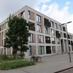  appartement avec 1 chambre(s) en location à Turnhout