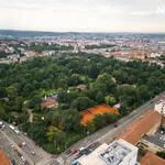 Rent 1 bedroom apartment of 50 m² in Brno