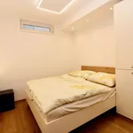 Miete 1 Schlafzimmer wohnung von 35 m² in Vienna