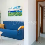 Rent 2 bedroom apartment of 60 m² in Sorrento