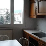 Rent 4 bedroom apartment of 65 m² in Grenoble