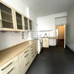 Pronajměte si 2 ložnic/e byt o rozloze 71 m² v Prague