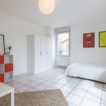 Rent 5 bedroom apartment in Lyon