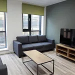 Rent 8 bedroom apartment in Worcester