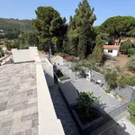 Rent 6 bedroom house of 320 m² in Messina