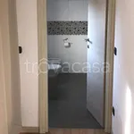 Rent 3 bedroom apartment of 80 m² in Ferrara