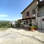 Rent 2 bedroom apartment of 55 m² in Velletri