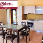 Rent 3 bedroom apartment of 80 m² in Avezzano