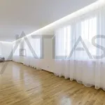 Rent 4 bedroom apartment of 142 m² in Prague