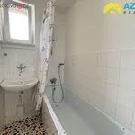 Rent 1 bedroom apartment in Přerov