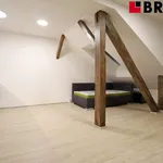 Rent 1 bedroom apartment in Brno