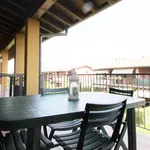 Rent 2 bedroom apartment of 50 m² in Desenzano del Garda