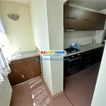 Rent 3 bedroom apartment of 80 m² in Ploiesti