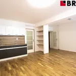 Rent 1 bedroom apartment of 41 m² in Brno