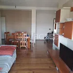 Rent 3 bedroom apartment of 110 m² in Piacenza