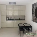 Rent 2 bedroom apartment of 52 m² in Praha 1