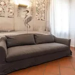 Rent 1 bedroom apartment of 53 m² in bologna