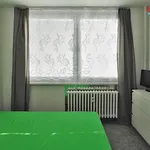 Rent 3 bedroom apartment of 55 m² in Praha