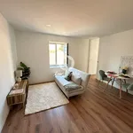 Rent 1 bedroom apartment of 45 m² in Porto