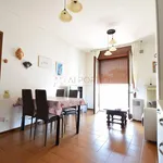 Rent 2 bedroom apartment of 50 m² in Adria