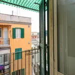 Rent 1 bedroom apartment in Rome