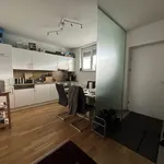 Rent 2 bedroom apartment of 50 m² in Graz