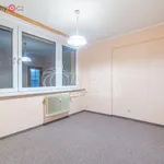 Rent 2 bedroom apartment of 42 m² in Mělník