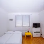 Rent 1 bedroom apartment of 60 m² in Prague