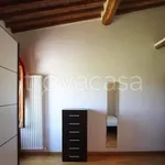 Rent 3 bedroom apartment of 66 m² in Sovicille