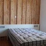 Rent 2 bedroom apartment of 32 m² in firminy