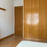 Rent 4 bedroom house in Madrid