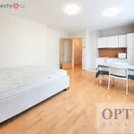 Rent 1 bedroom apartment of 36 m² in Praha