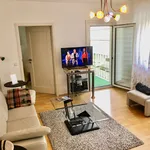 Rent 1 bedroom apartment of 60 m² in Stuttgart