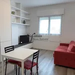 Rent 2 bedroom apartment of 51 m² in San Donato Milanese