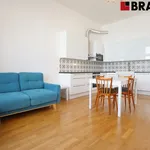 Rent 2 bedroom apartment of 60 m² in Brno