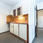 Rent 2 bedroom apartment of 35 m² in Capital City of Prague