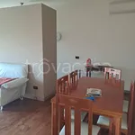 Rent 3 bedroom apartment of 110 m² in Piacenza